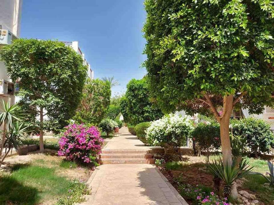 Riviera Resort Apartment - Pool View & Wifi Sharm el-Sheik Eksteriør bilde